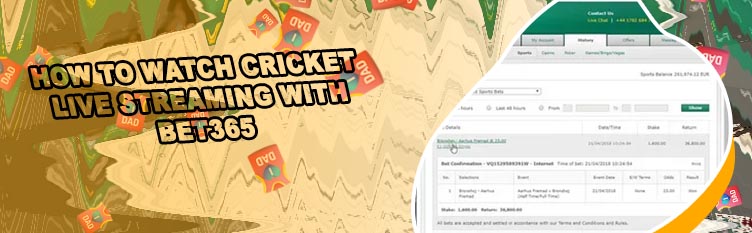 365 bet cricket live streaming