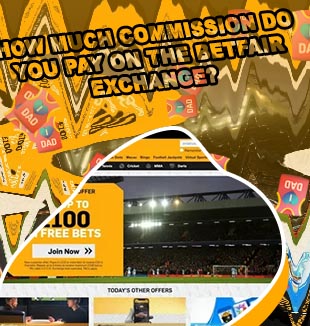 Betfair exchange cricket rate