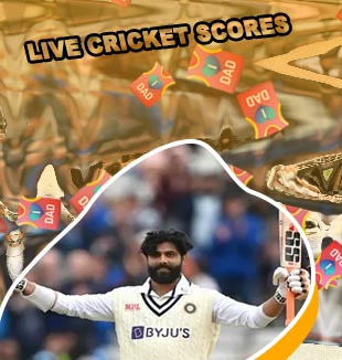Cricket live score summary