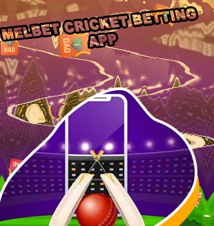 Cricket online betting apps