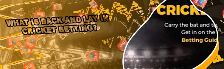 Cricket online betting odds