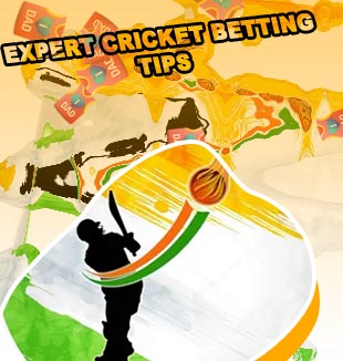 Expert cricket prediction