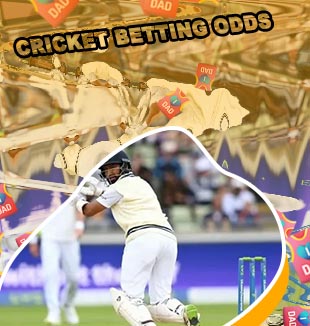 Online cricket betting in india