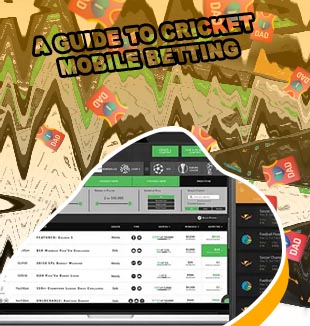 Only cricket betting app